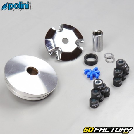 Variatore completo Peugeot verticale e orizzontale Speedfight, Ludix ... Polini