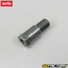 Crutch Achse Aprilia RS4  et  Derbi GPR ab 2011