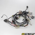 Arnés eléctrico Derbi GPR desde 2011