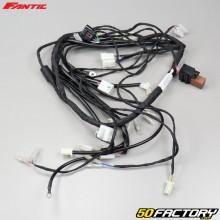 Wiring harness Fantic 2007 to 2016