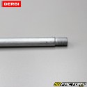 Eje de la rueda trasera Aprilia RS4,  RS et  Derbi GPR (Desde 2011)