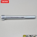 Eixo de suporte do motor Derbi Senda,  Gilera SMT,  RCR...