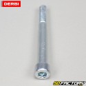 Eixo de suporte do motor Derbi Senda,  Gilera SMT,  RCR...