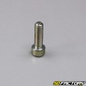 Plunger tube screw for Hyosung Comet 125 cm3 (2003 to 2008)