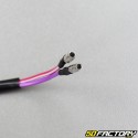 Schaltereinheit links Generic Cracker,  Toxic,  Sirion  et  CPI Popcorn