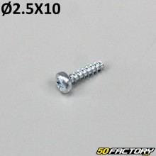 2.5x10 mm Schrauben für Lichter, Blinker ... (pro Stück)