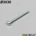 3x30mm screw for lights, turn signals ... (per unit)