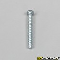 3x30mm screw for lights, turn signals ... (per unit)