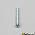 3x30mm screw for lights, turn signals ... (per unit)