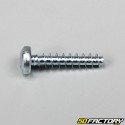 4x20mm screw for lights, turn signals ... (per unit)