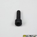 Screw 6x20mm head BTR black (to the unit)