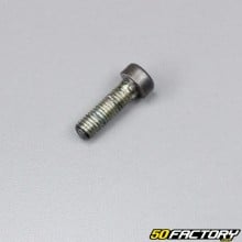 Fork dip tube screw Honda MT 50 - 80 (1979 to 1984)