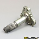 Mozzo posteriore Aprilia RS 50 a braccio singolo e AF1