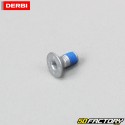 Gearbox barrel and bearing plate screws Derbi