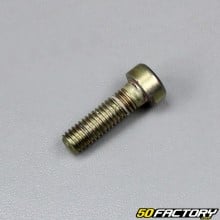 Fork dip tube screw Suzuki RG wolf 125 (1992 to 1999)