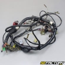 Wiring harness Suzuki RG wolf 125 cm3 (1992 to 1999)