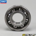 6204 C4 SKF Bearing