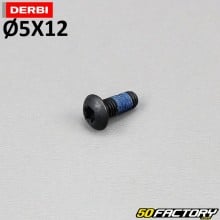 Vis 5x12mm tête torx (à l'unité)