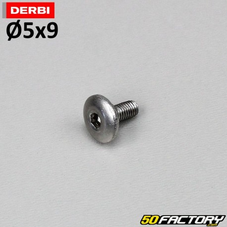 Tornillo 5x9mm cabeza BTR abovedada (por unidad)