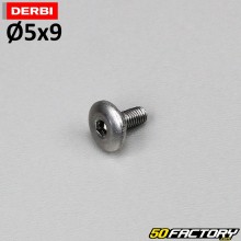 Vite a testa bombata BTR 5x9 mm (per unità)
