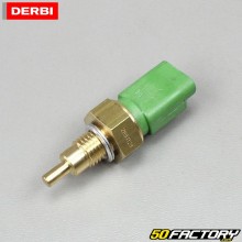 Derbi Euro 4 temperature sensor