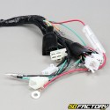 Kinroad XT50Q Wiring Harness Chopper  et  Regal Raptor Chopper