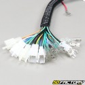 Kinroad XT50Q Wiring Harness Chopper  et  Regal Raptor Chopper