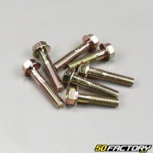 Tornillos de caja de transmisión para motores 137QMB y 139QMB 50cc 4T (kit)