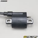 Ignition coil Hanway Furious  et  Masai Ultimate