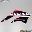 Decoration  kit Gencod Derbi DRD, Gilera SMT,  RCR (2011 to 2017) pink