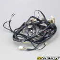 Electrical harness Aprilia classic 125 cm3 (1995 to 2001)