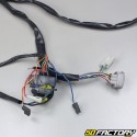 Electrical harness Aprilia classic 125 cm3 (1995 to 2001)