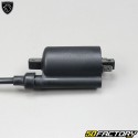 Ignition coil Peugeot Kisbee  et  Django (2018 - 2020)