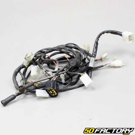 Electrical harness Beta RR 50 (from 2011)