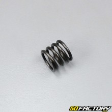 Honda fork dip tube spring Shadow 125 (1999 to 2007)