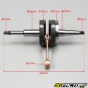 Kurbelwelle Peugeot vertical Air + liquid Speedfight, Trekker... 50 2T (mit Luftpumpe)