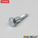 Eixo do suporte lateral Derbi Senda,  GPR,  Gilera SMT,  RCR,  Aprilia RS, RX, SX
