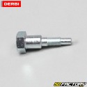 Asse del cavalletto laterale Derbi Senda,  GPR,  Gilera SMT,  RCR,  Aprilia RS, RX, SX