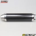 Carbon exhaust silencer Giannelli Aprilia RX et  SX (Since 2006)