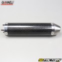 Carbon exhaust silencer Giannelli Aprilia RX et  SX (Since 2006)