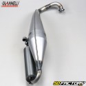 scarico Giannelli V2 extra Peugeot Ludix orizzontale, Speedfight 3 ... 50 2T