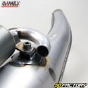 scarico Giannelli V2 extra Peugeot Ludix orizzontale, Speedfight 3 ... 50 2T