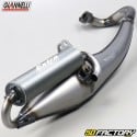 Exhaust Giannelli Extra V2 Kymco 2T 50