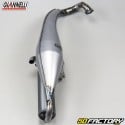 Exhaust Giannelli Extra V2, Strada, Keeway, Cpi 50 2T ...