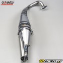 Exhaust Giannelli Record Kymco 50 2T