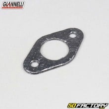 Exhaust gasket Giannelli