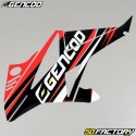 Deco Kit Gencod Beta RR (from 2011) red