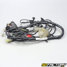 Honda arnés eléctrico Varadero 125 (2001 - 2006)