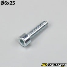 Tornillo de 6x25 mm cabeza BTR (por unidad)