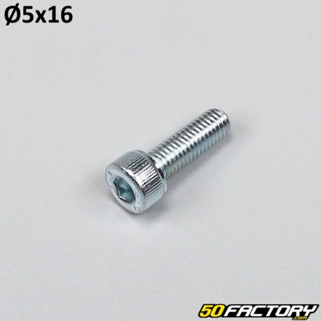 Parafuso BTR de cabeça M5x16mm